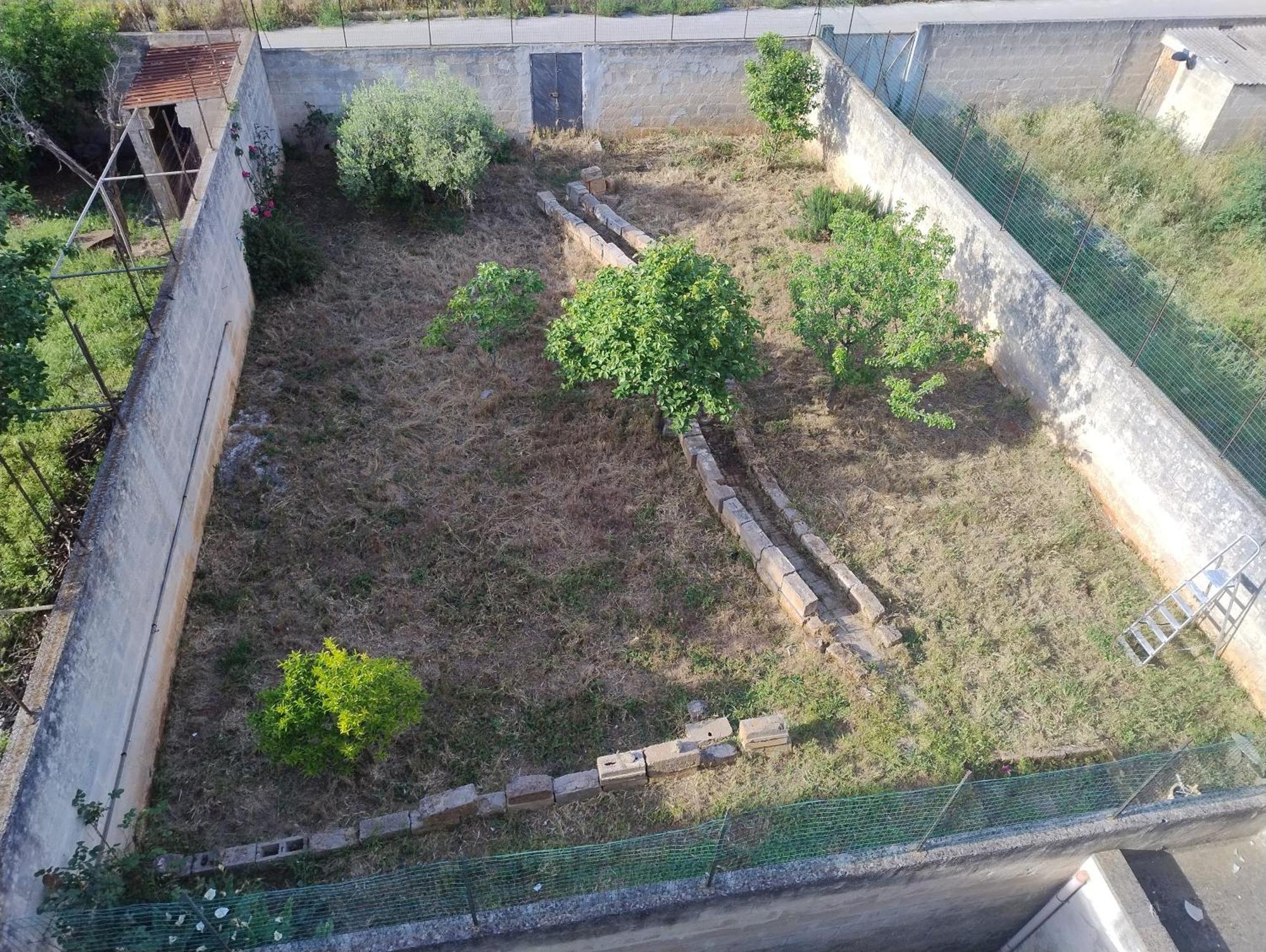 Favolosa Casa Con Terrazza, Idromassaggio, Cortile E Garage Auto Carovigno Exterior foto